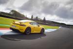 Porsche 718 Cayman GT4 2019 года (WW)